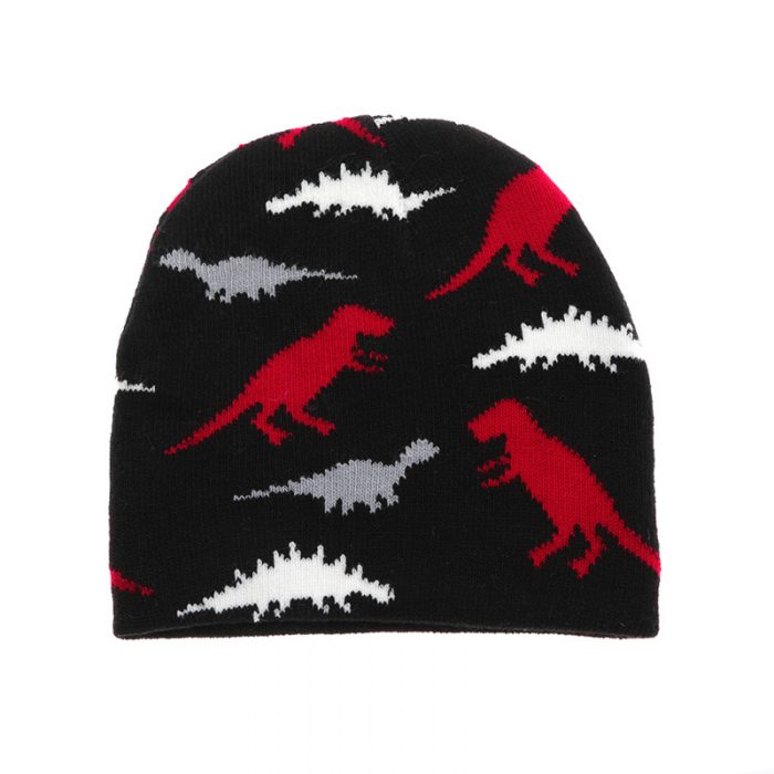 AL001365 ALLCH Boy's Dinosaur Knit Hat - Image 4