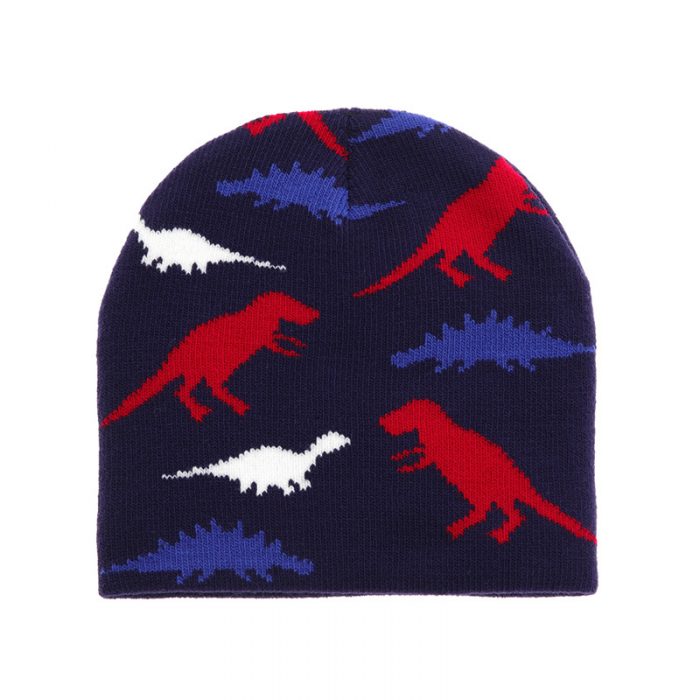 AL001365 ALLCH Boy's Dinosaur Knit Hat - Image 6