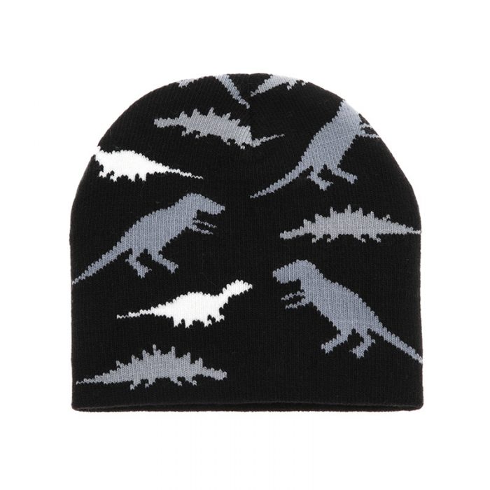 AL001365 ALLCH Boy's Dinosaur Knit Hat - Image 9